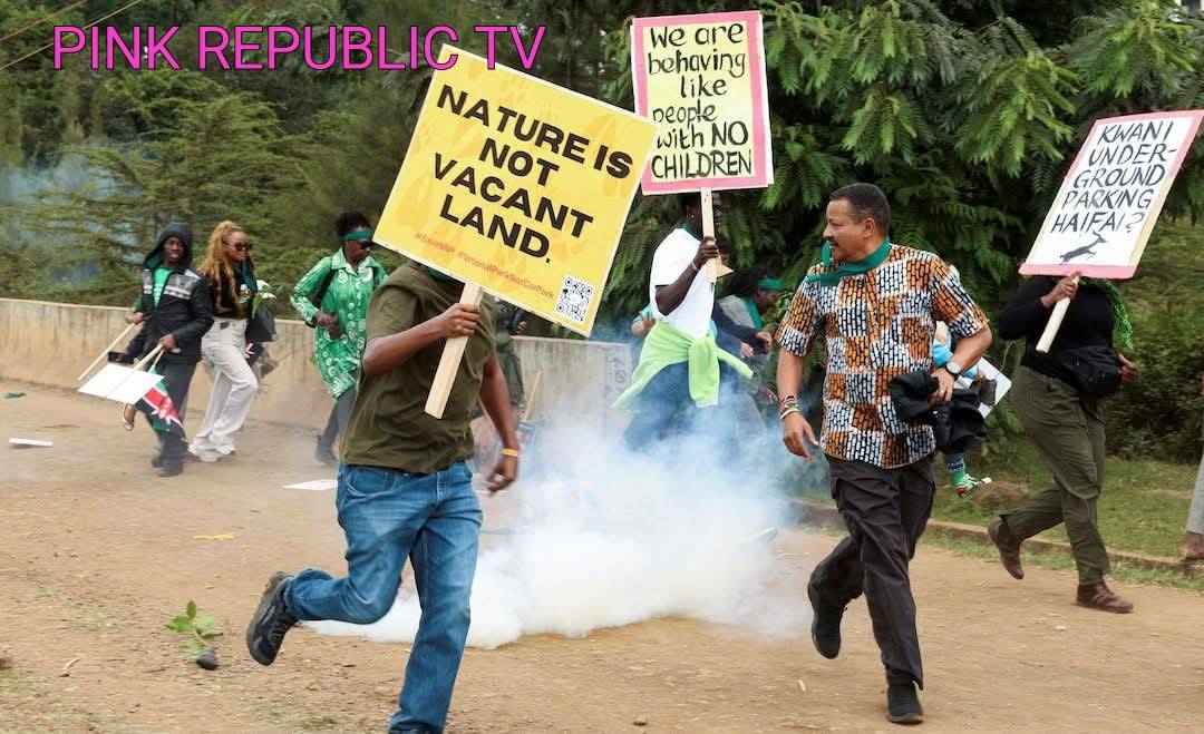 https://pinkrepublic12.blogspot.com/2026/06/kenya-police-fire-tear-gas-arrest-ex.html?m=1