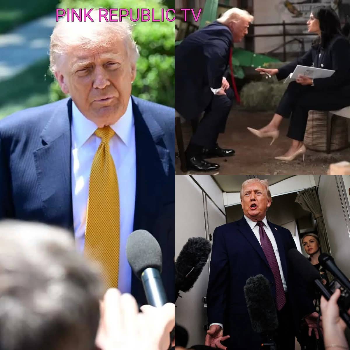 https://pinkrepublic12.blogspot.com/2026/06/donald-trump-storms-out-of-meet-press.html?m=1