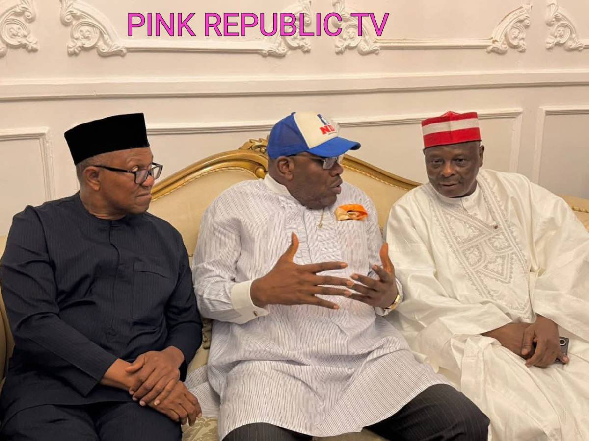 https://pinkrepublic12.blogspot.com/2026/06/kwankwasiyya-movement-dismisses-rumours.html?m=1