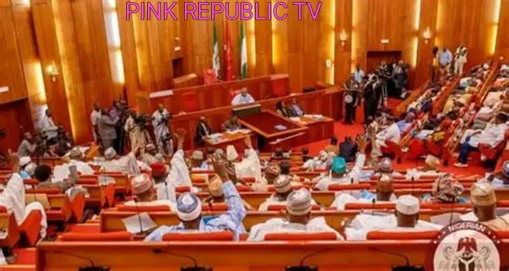 https://pinkrepublic12.blogspot.com/2026/06/senate-leader-opeyemi-bamidele-proposes.html?m=1