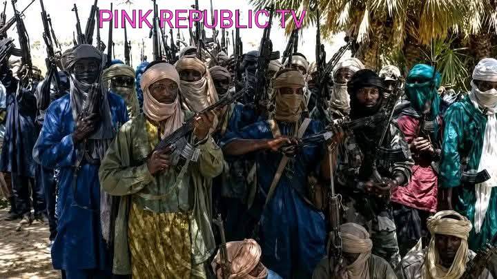 https://pinkrepublic12.blogspot.com/2026/06/terrorists-kill-army-officer-six.html?m=1