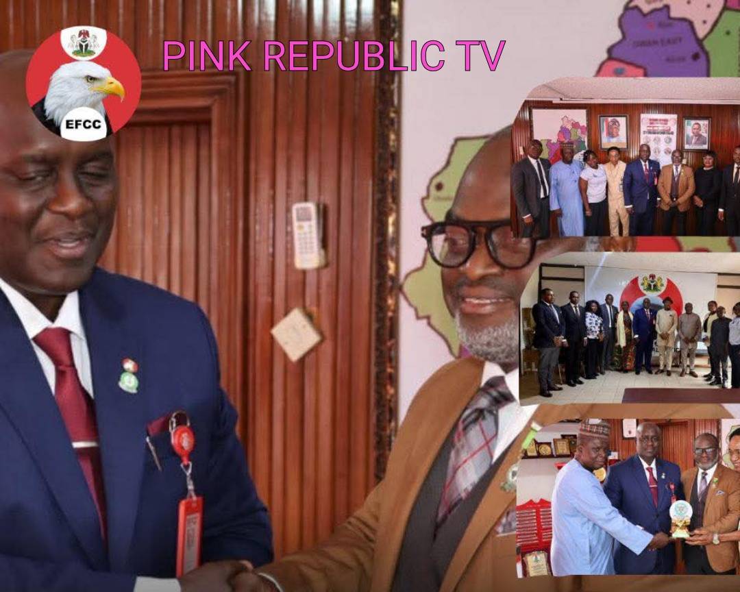 https://pinkrepublic12.blogspot.com/2026/06/efcc-inec-to-collaborate-towards.html?m=1