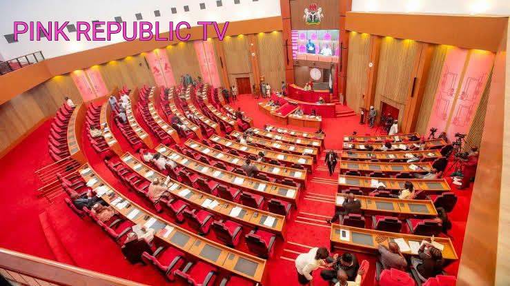 https://pinkrepublic12.blogspot.com/2026/06/fire-outbreak-in-senate-wing-of.html?m=1