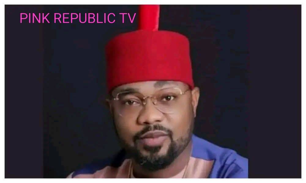 https://pinkrepublic12.blogspot.com/2026/06/house-of-representatives-bars-first.html?m=1