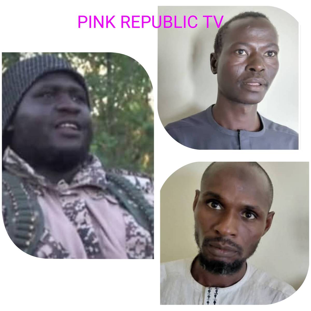 https://pinkrepublic12.blogspot.com/2026/06/operation-hadin-kai-records-major.html?m=1