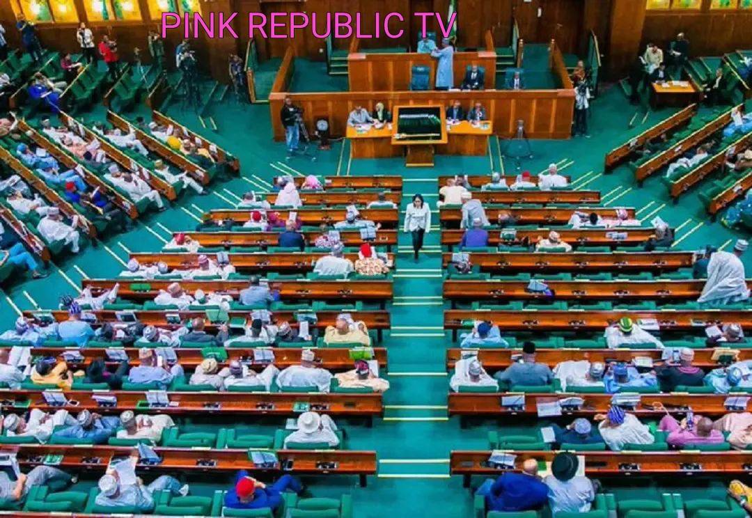 https://pinkrepublic12.blogspot.com/2026/06/landmark-vote-nigerian-reps-greenlight.html?m=1