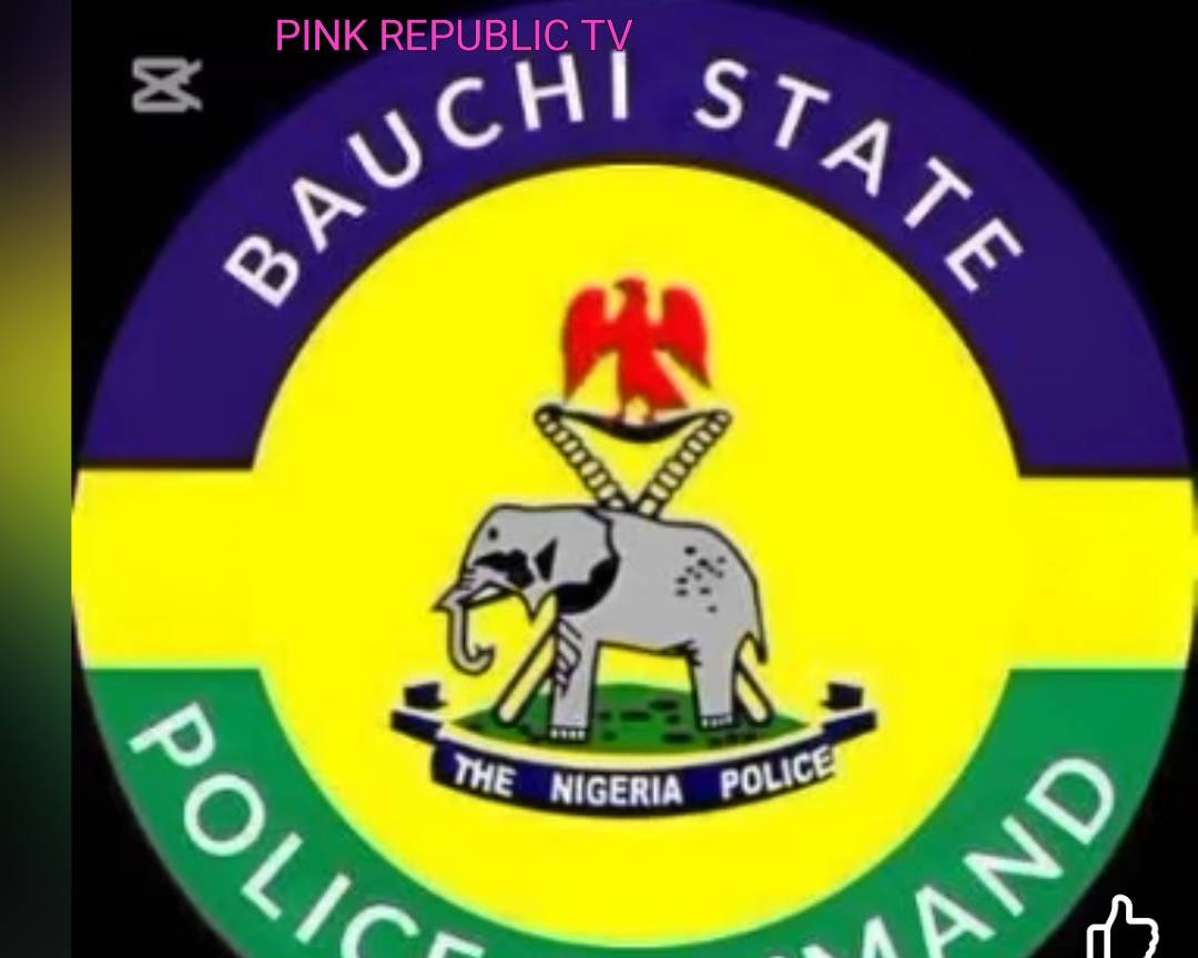 https://pinkrepublic12.blogspot.com/2026/06/bauchi-police-arrest-2-for-conspiracy.html?m=1