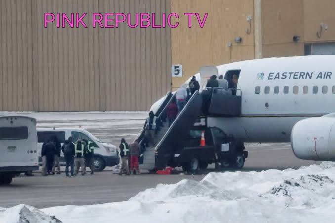 https://pinkrepublic12.blogspot.com/2026/06/us-plans-to-deport-iranians-to-central.html?m=1