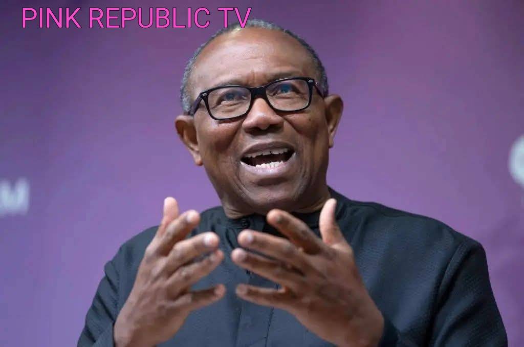 https://pinkrepublic12.blogspot.com/2026/06/elections-are-rigged-in-nigeria-because.html?m=1
