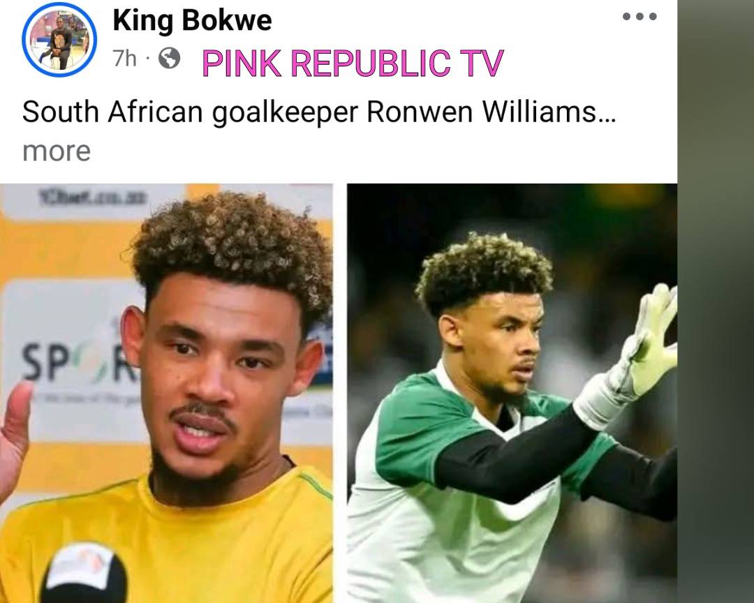 https://pinkrepublic12.blogspot.com/2026/06/south-african-goalkeeper-ronwen-william.html?m=1