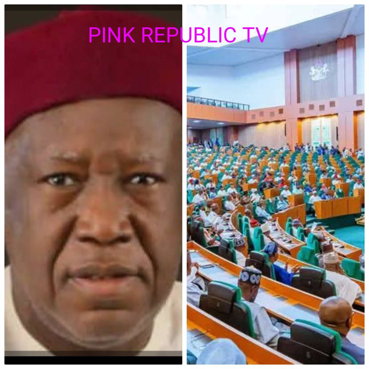 https://pinkrepublic12.blogspot.com/2026/06/house-of-representatives-mourns-death.html?m=1