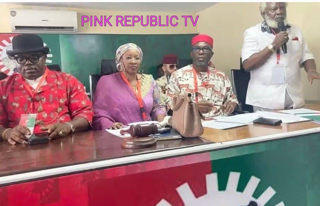 https://pinkrepublic12.blogspot.com/2026/06/labour-party-to-withdraw-suit-as-inec.html?m=1