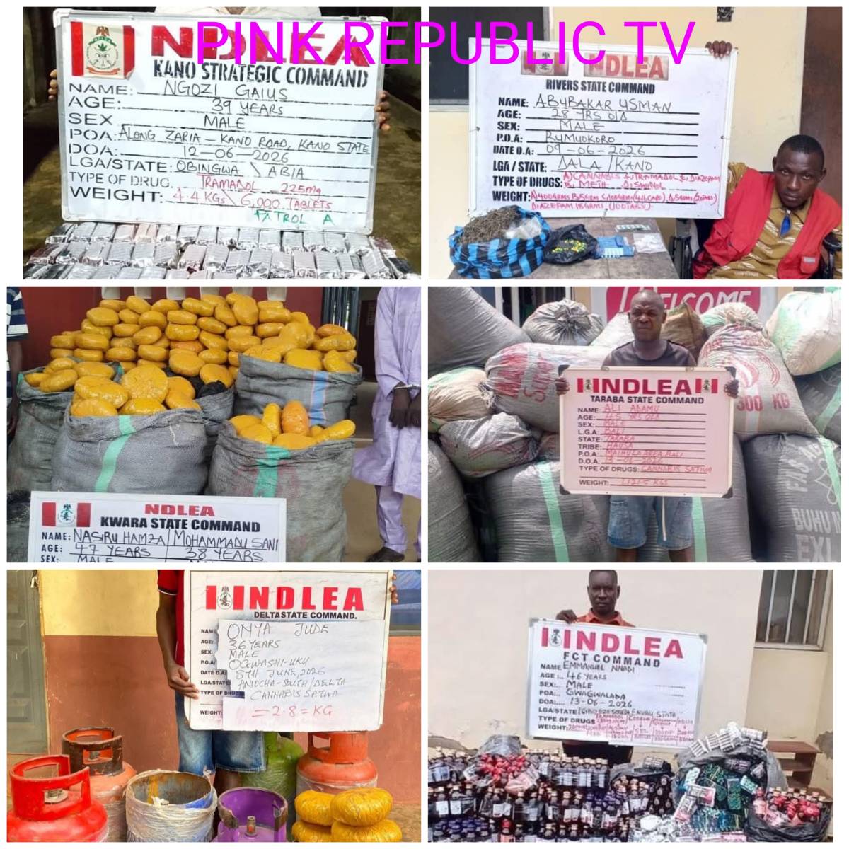 https://pinkrepublic12.blogspot.com/2026/06/ndlea-intercepts-businessman-with-610kg.html?m=1