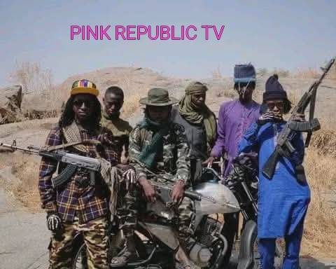 https://pinkrepublic12.blogspot.com/2026/06/bandits-kill-farmer-in-kajuru-community.html?m=1.