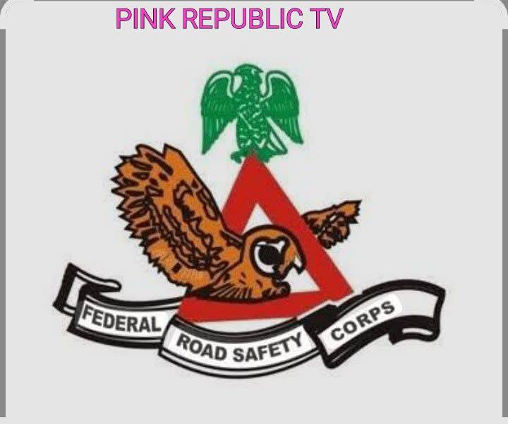 https://pinkrepublic12.blogspot.com/2026/06/frsc-impounds-1000-fake-diplomatic.html?m=1