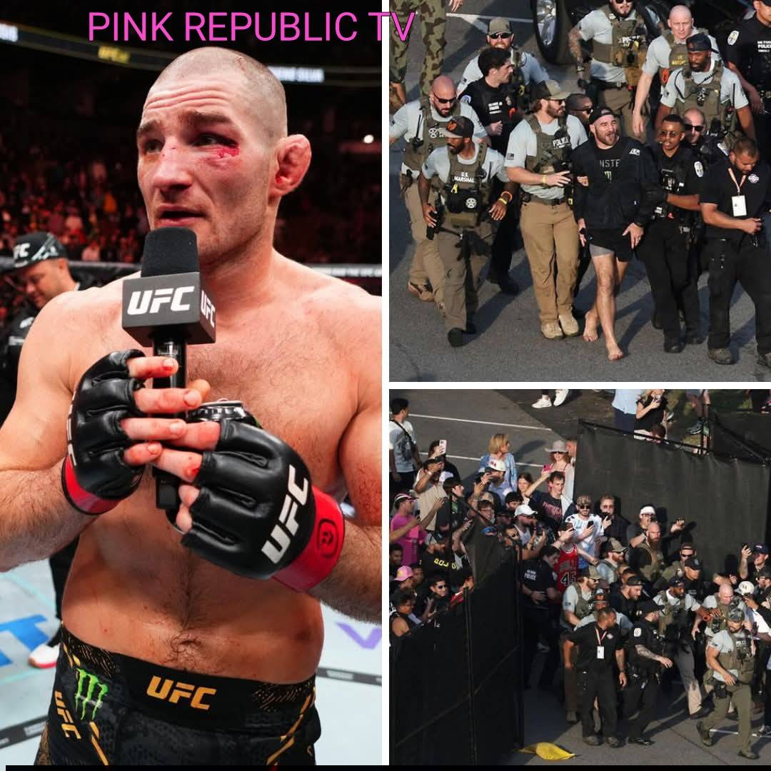 https://pinkrepublic12.blogspot.com/2026/06/sean-strickland-forcibly-removed-from.html?m=1