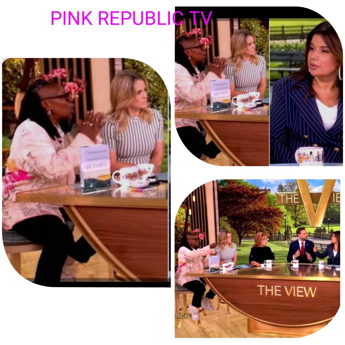 https://pinkrepublic12.blogspot.com/2026/06/whoopi-goldberg-scolds-view-cohost-ana.html?m=1