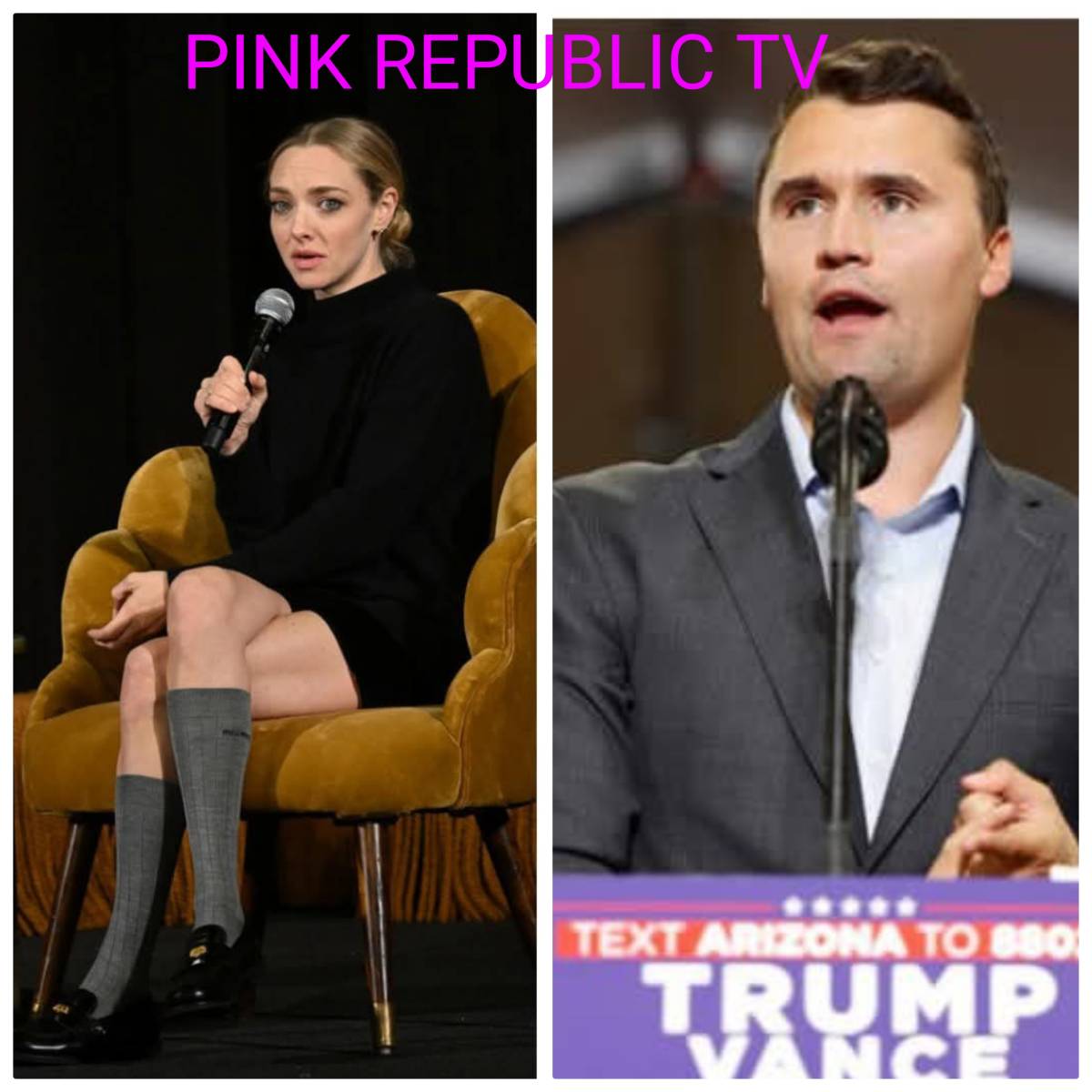 https://pinkrepublic12.blogspot.com/2026/06/amanda-seyfried-claims-she-had-to-hire.html?m=1