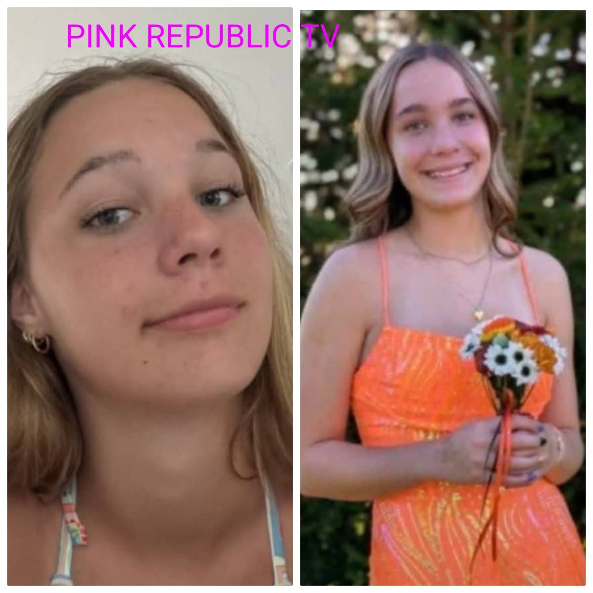 https://pinkrepublic12.blogspot.com/2026/06/a-14-year-old-ohio-girl-has-taken-her.html?m=1