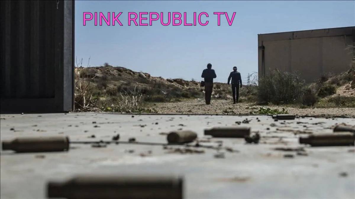 https://pinkrepublic12.blogspot.com/2026/06/heavy-gunfire-reported-near-nigers-main.html?m=1