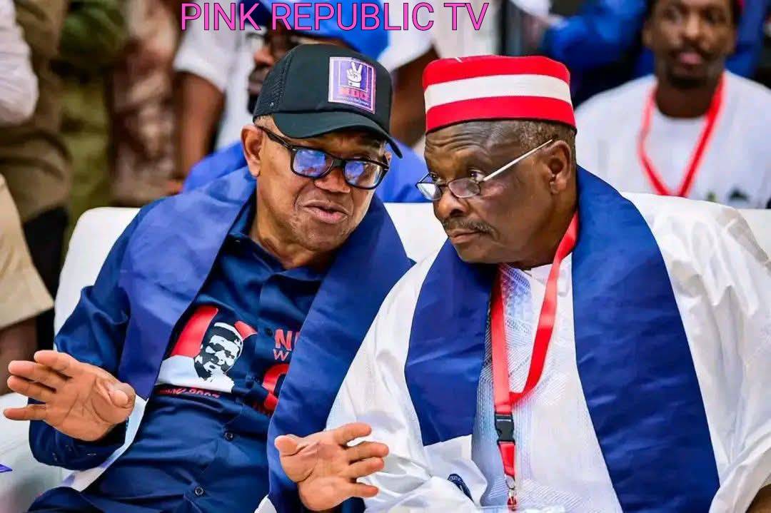https://pinkrepublic12.blogspot.com/2026/06/ndc-exempts-obi-kwankwaso-from-anti.html?m=1