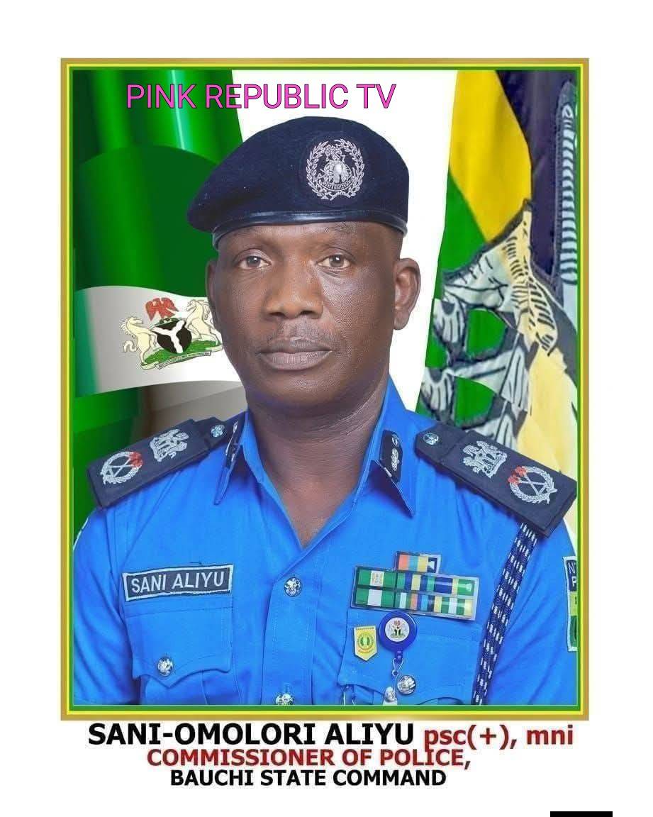 https://pinkrepublic12.blogspot.com/2026/06/police-rescue-2-teenage-girls-abducted.html?m=1