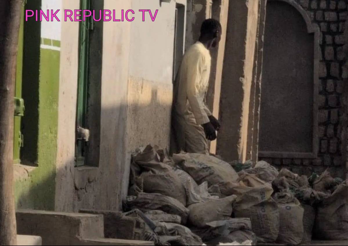 https://pinkrepublic12.blogspot.com/2026/06/kano-court-jails-man-for-storing-bags.html?m=1