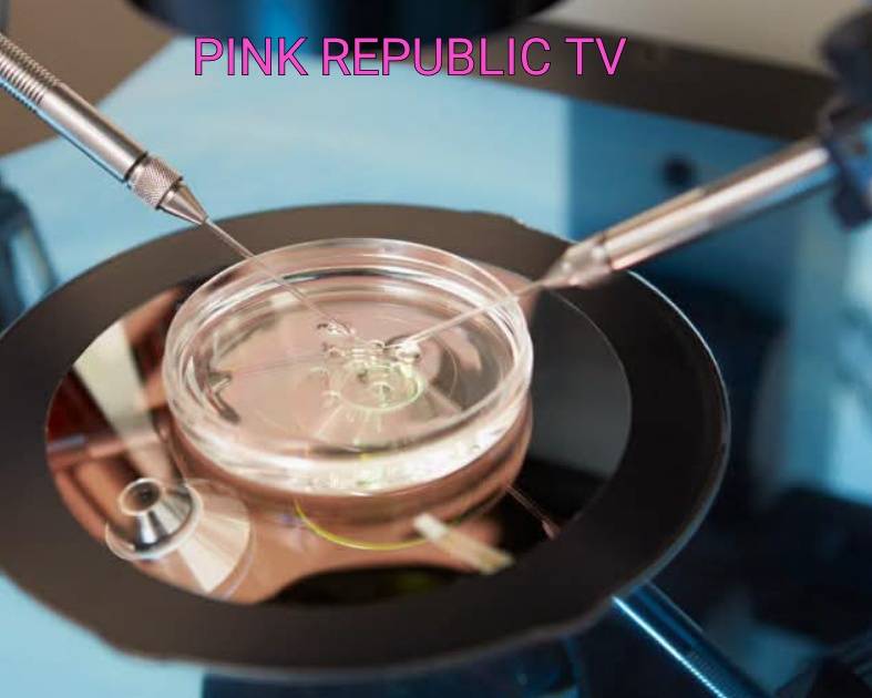 https://pinkrepublic12.blogspot.com/2026/06/florida-couple-keeps-permanent-custody.html?m=1