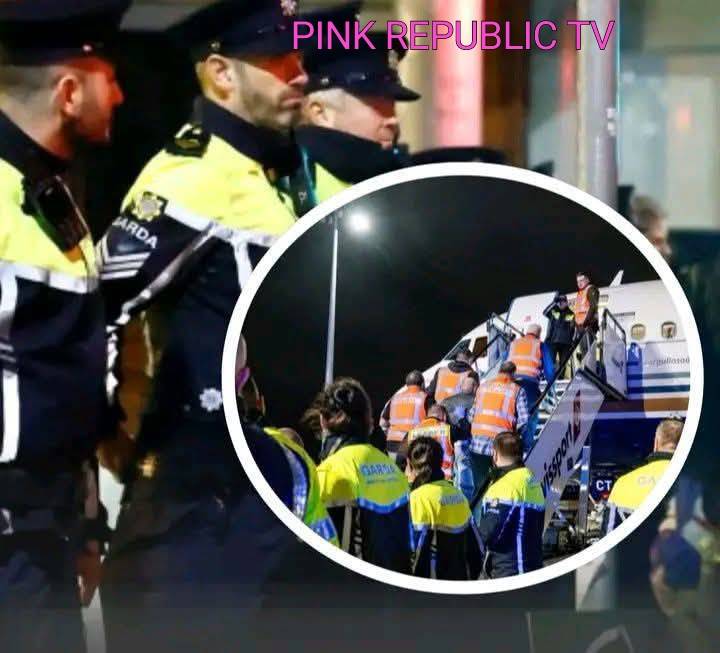 https://pinkrepublic12.blogspot.com/2026/06/ireland-has-deported-42-south-african.html?m=1