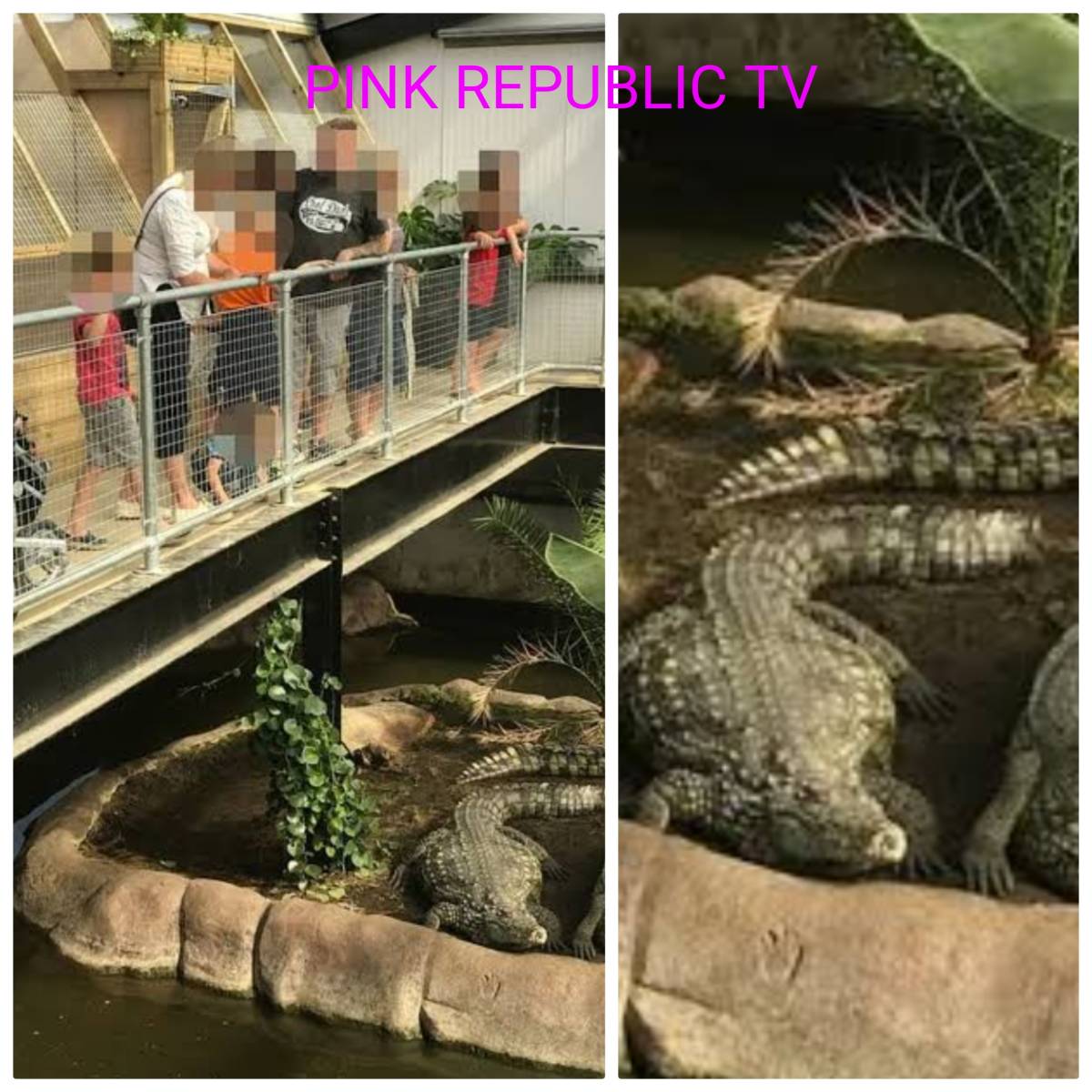 https://pinkrepublic12.blogspot.com/2026/06/three-year-old-boy-critically-injured.html?m=1