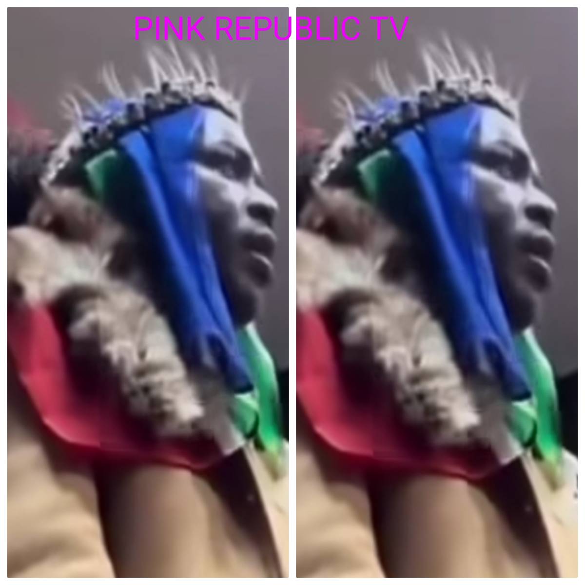 https://pinkrepublic12.blogspot.com/2026/06/a-prominent-south-african-anti.html?m=1