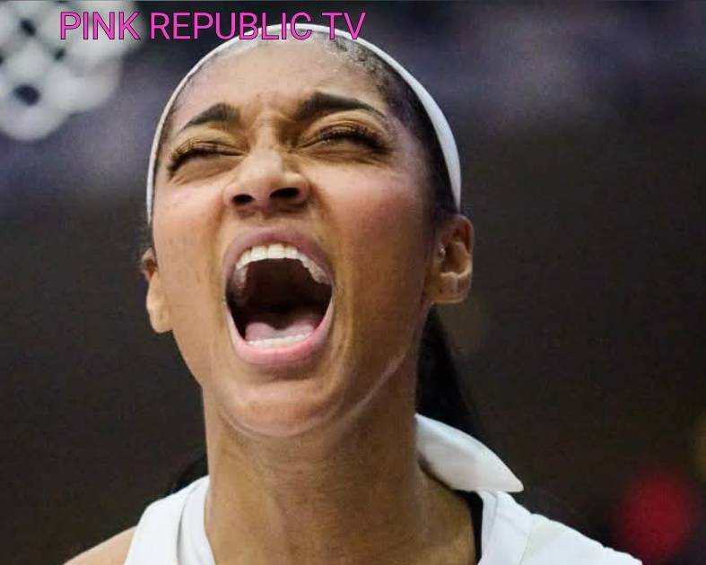 https://pinkrepublic12.blogspot.com/2026/06/angel-reese-becomes-fastest-player-in.html?m=1
