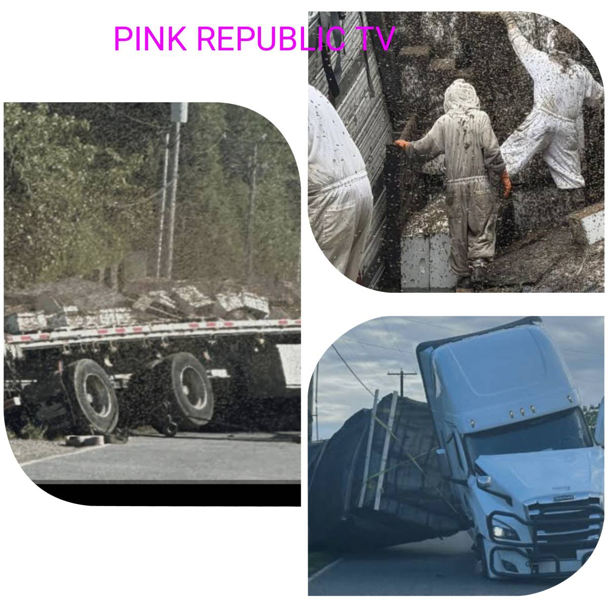 https://pinkrepublic12.blogspot.com/2026/06/overturned-semi-truck-releases-2.html?m=1