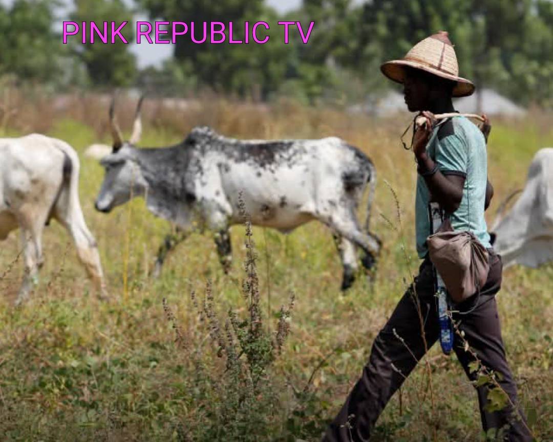 https://pinkrepublic12.blogspot.com/2026/06/eight-killed-in-farmers-herders-clash.html?m=1