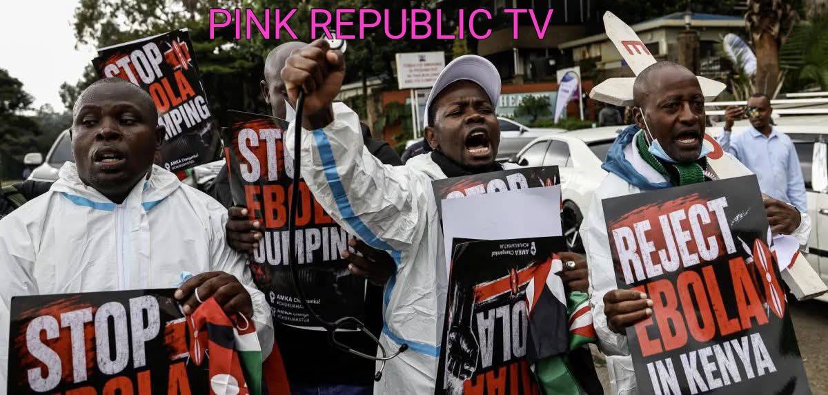 https://pinkrepublic12.blogspot.com/2026/06/kenyan-government-halts-us-ebola-centre.html?m=1