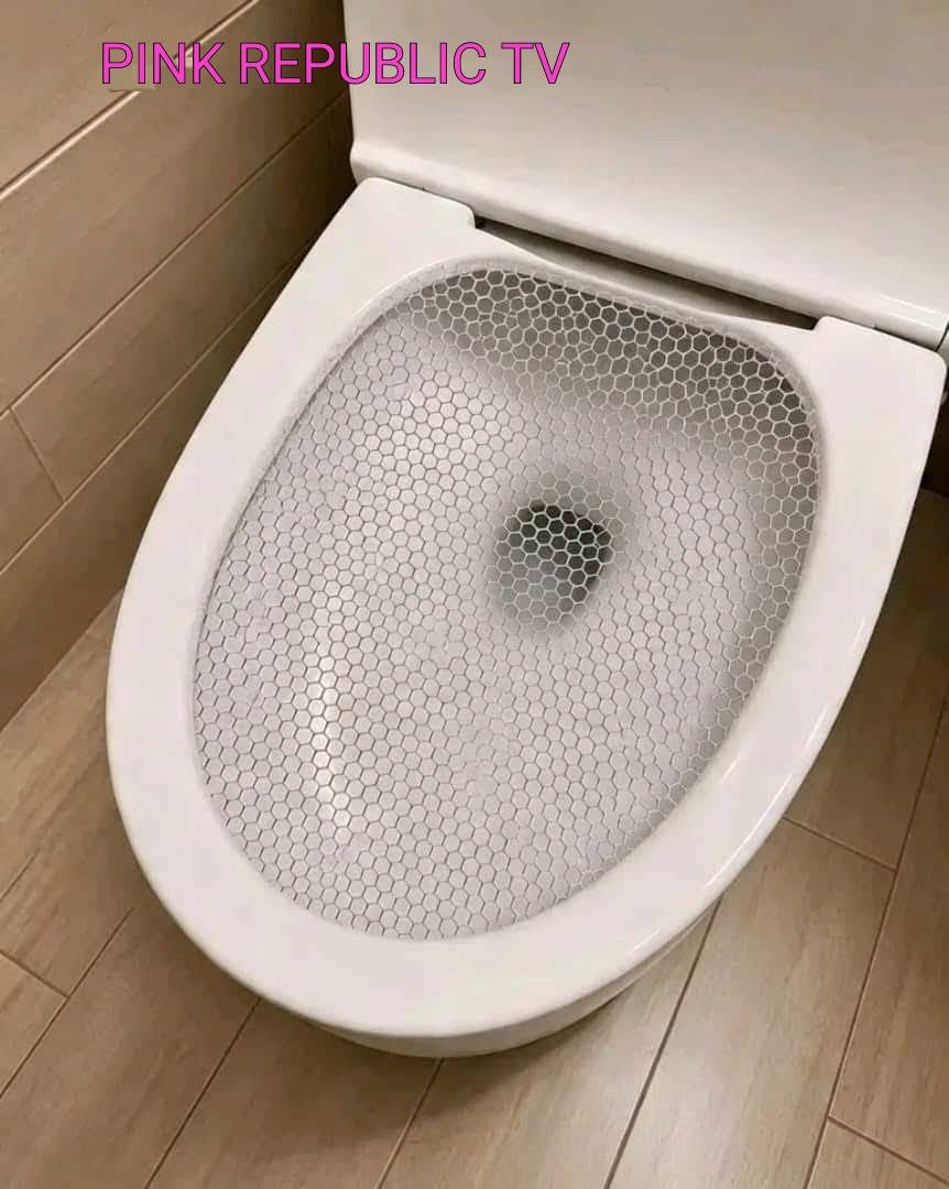 When you see this net in any toilet, just know that snakes ๐ is really disturbing them