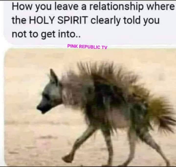 🤣🤣🤣🤣