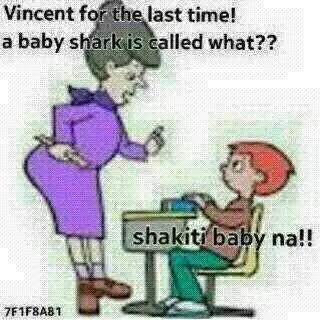 🤣🤣🤣