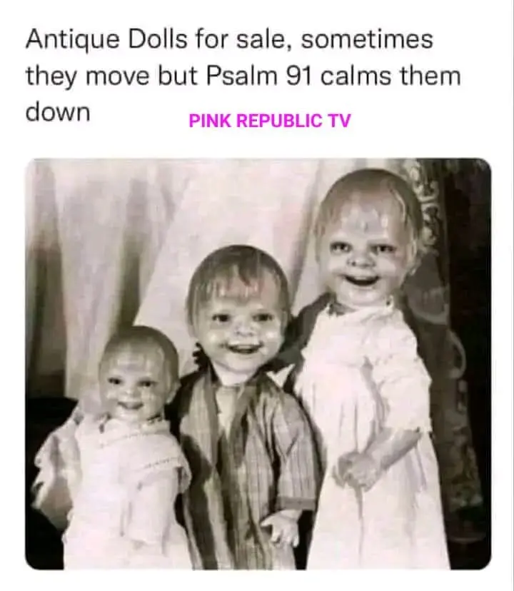🤣🤣🤣