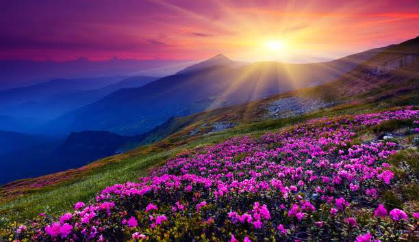With a grateful heart, we lift our voices unto Thee, O Eternal Architect of all that breatheth.
For...