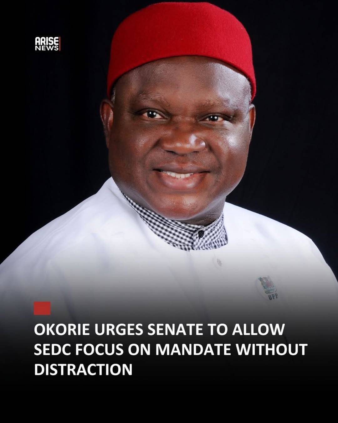 Igbo leader and founder of the Igbo Agenda, Chief Chekwas Okorie, has called on the Senate Committee...