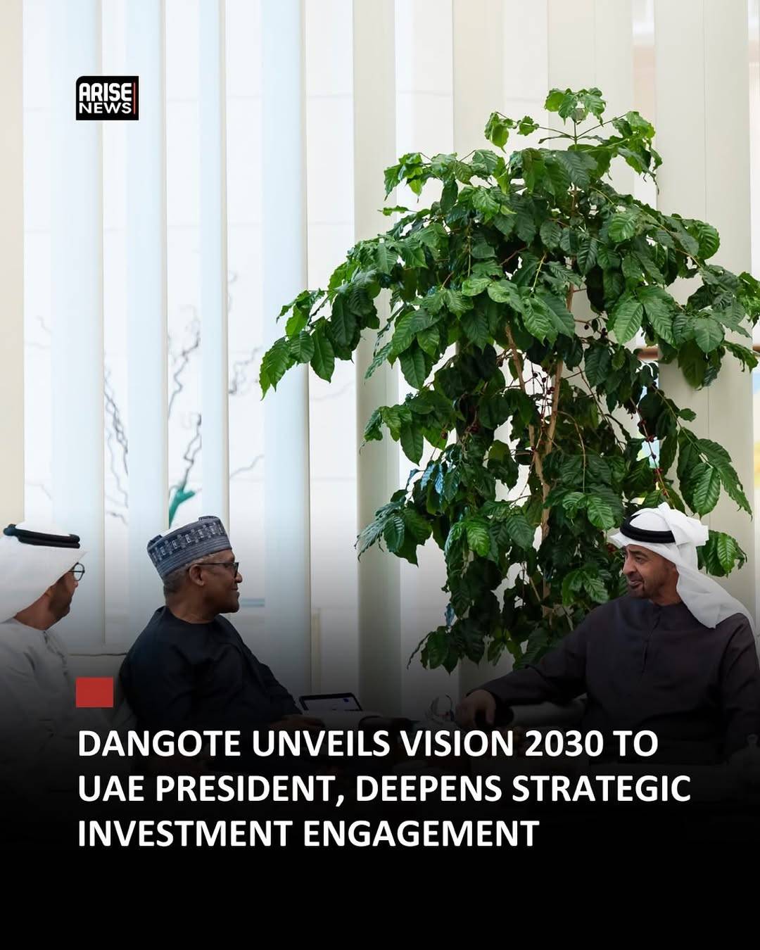 President of the Dangote Group, Aliko Dangote, has presented the company’s Vision 2030 to UAE Presid...