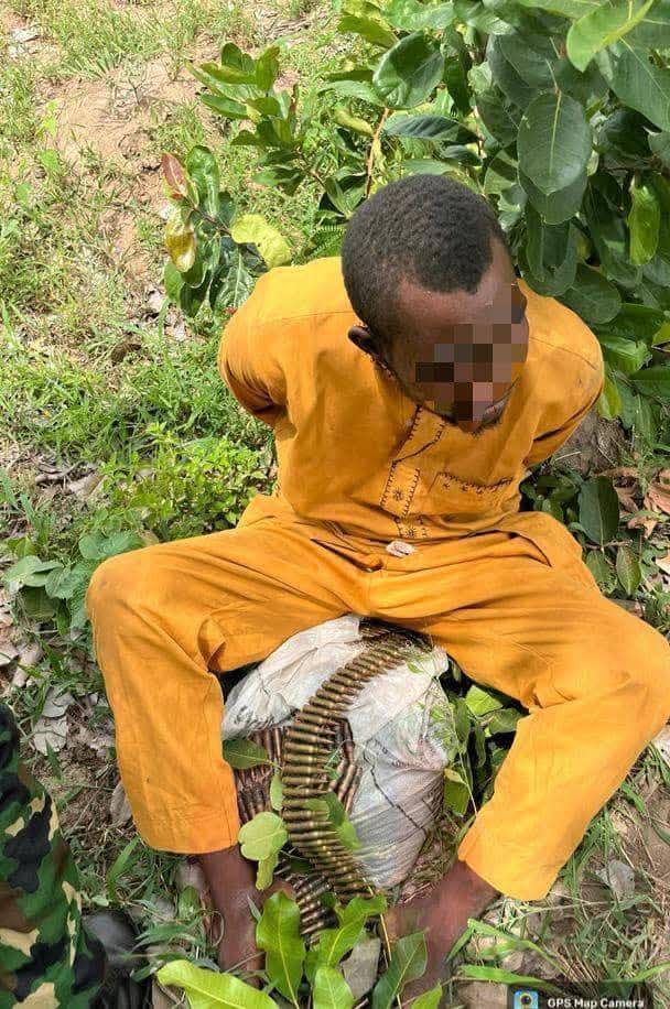 Troops Nab Ammunition Courier With 500 Rounds Hidden in Maize, Rescue Abducted Orphanage Victims in...