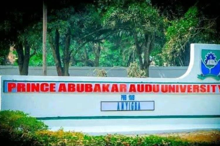 Security Operatives Arrest PAAU Student Over Cult Recruitment, Assault, Death Threats
https://corene...