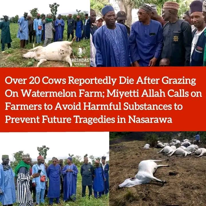 BREAKING: A shocking incident has been reported in Gidan Gade Onda, Nasarawa Local Government Area o...