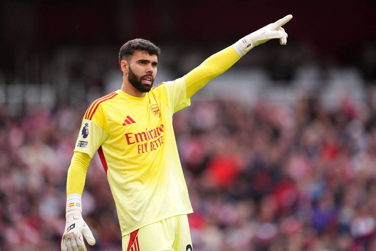 David Raya has been consistently the best goalkeeper this Premier League season.
He's only conceded...