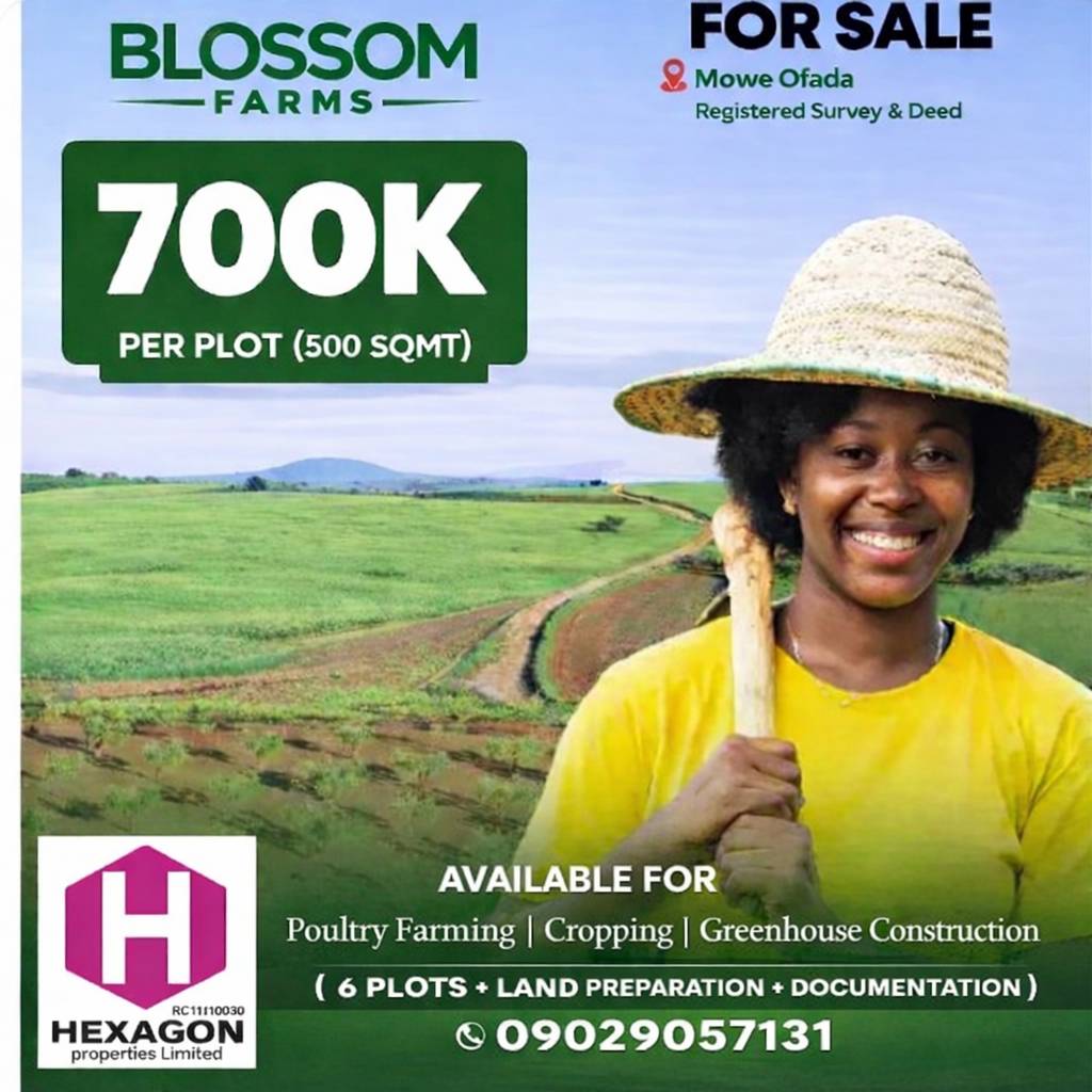Buy Land, We help you to farm on it, the land becomes yours forever, you earn from the crop planting...