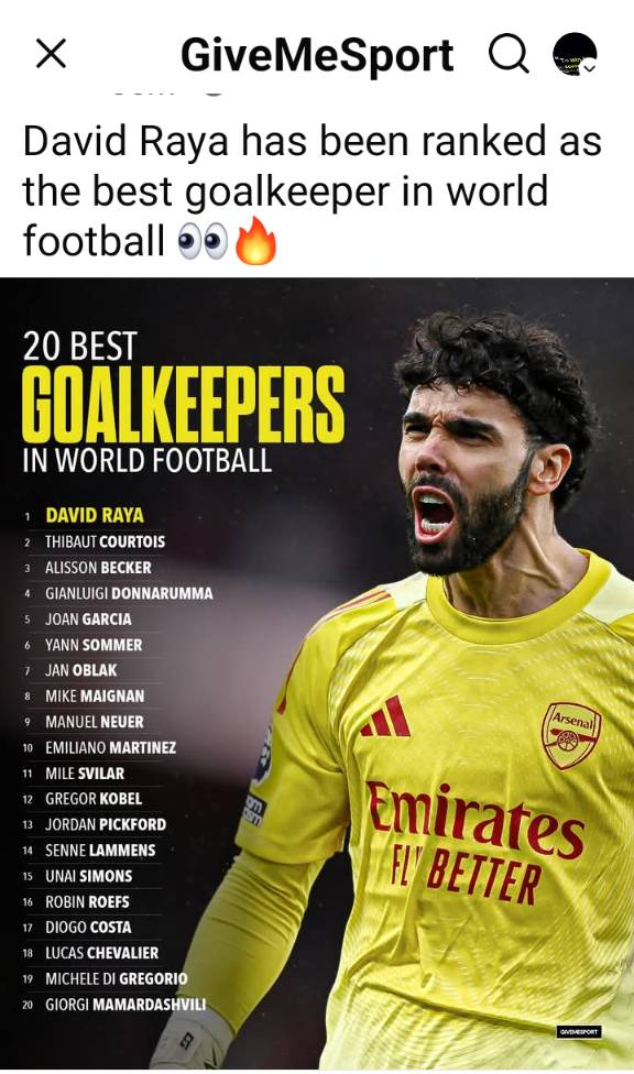 A lot of people criticised Mikel Arteta when he opted for Raya upon taking over the role of Arsenal...