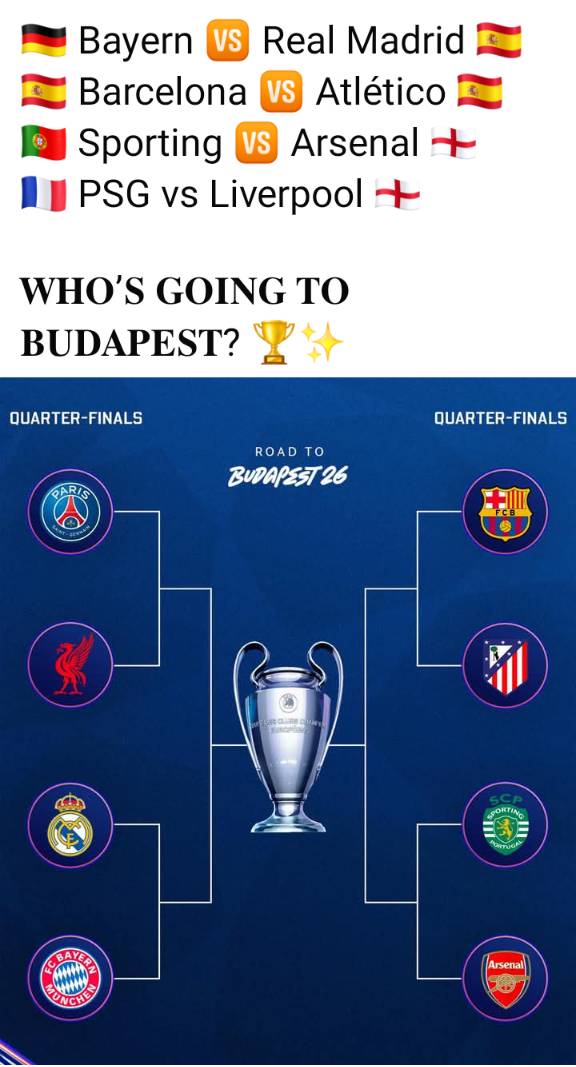 Quarter finals looking at you excitedly