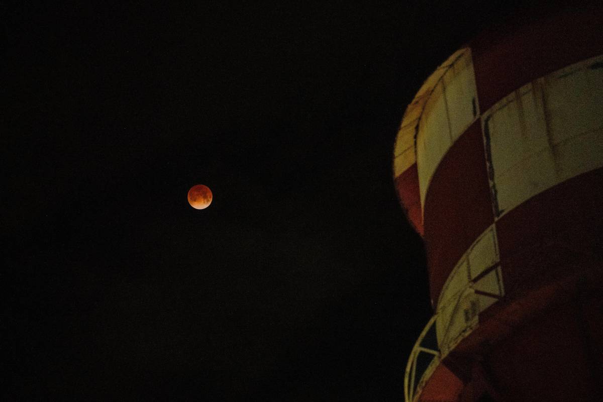 Our morning view of the "blood Moon" @NASAAmes
Did you see the total lunar eclipse today? This hap...